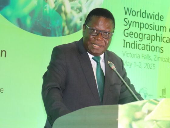 Africa must own its heritage: Minister Mao rallies support for Geographical Indications at WIPO Summit