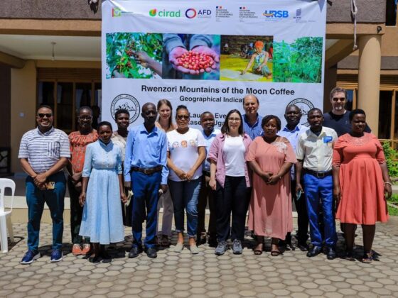 URSB and partners champion Uganda’s first Geographical Indication: Rwenzori Mountains of the Moon coffee