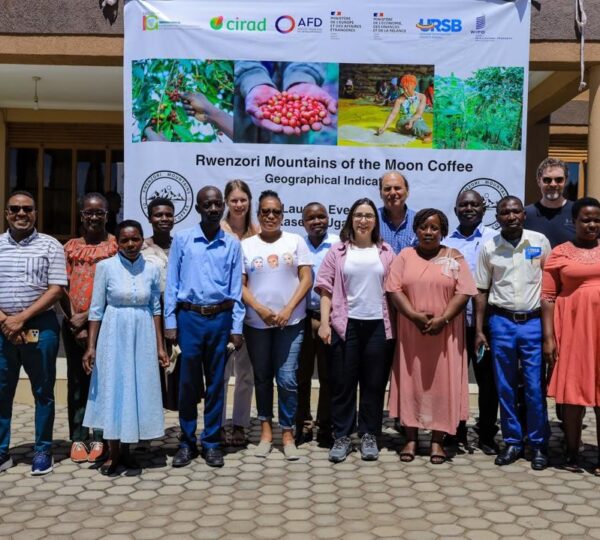 URSB and partners champion Uganda’s first Geographical Indication: Rwenzori Mountains of the Moon coffee