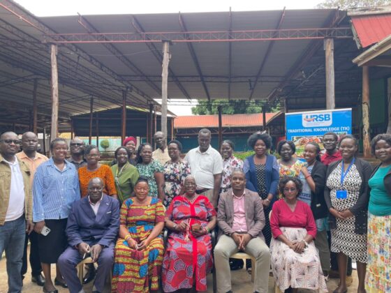 West Nile Shea Butter Producers Move Closer to GI Status